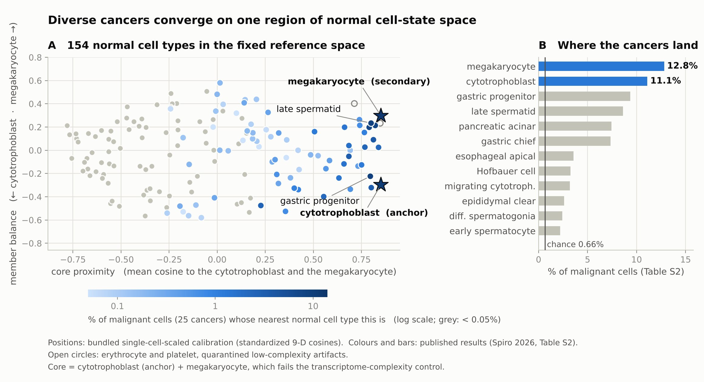 Two panels. A: the 154 normal human cell types of the reference, placed by their proximity to the two cells nearest the convergence region and coloured by the share of malignant cells from 25 cancers that land nearest to them; the most-visited types cluster at the high-proximity edge. B: the twelve normal cell types receiving most of the convergence, against 0.66 percent expected by chance.