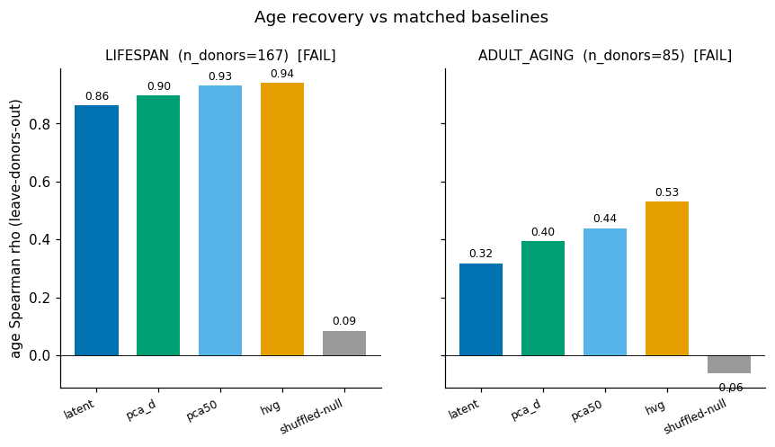 Age recovery: autoencoder latent vs matched linear baselines