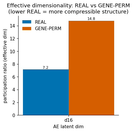 Effective dimensionality: REAL vs gene-permuted