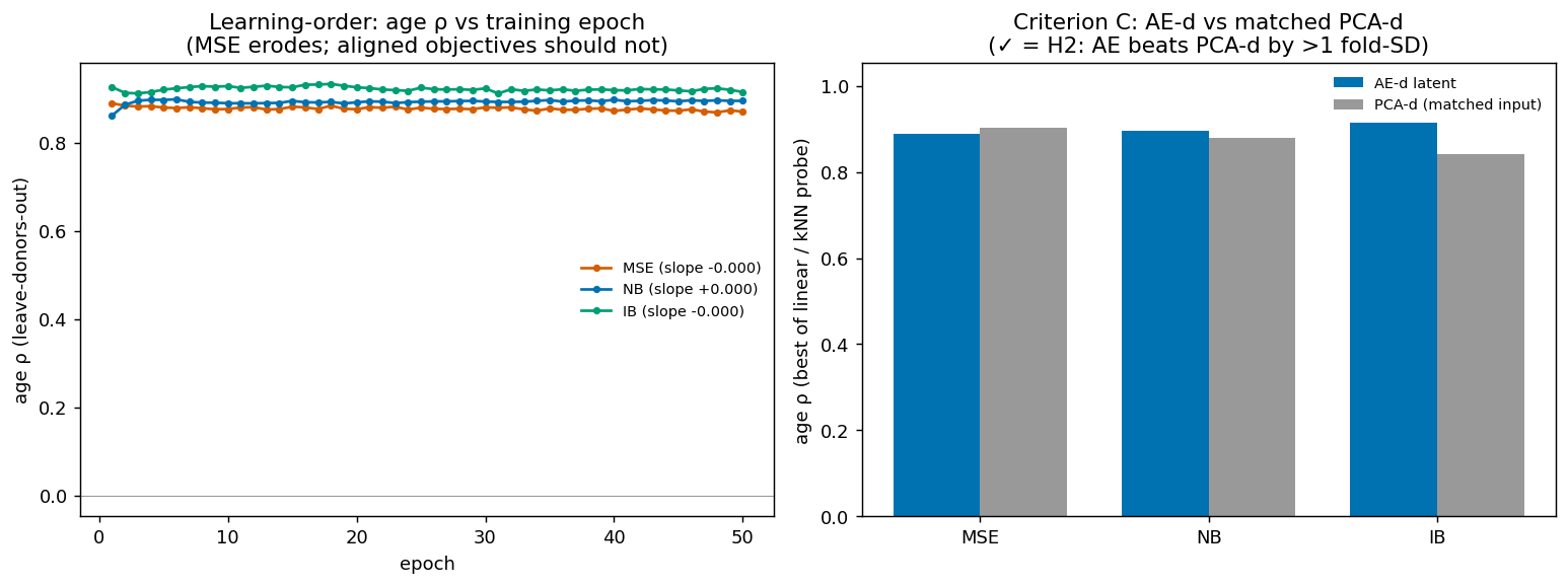 Objective-function experiment: MSE vs negative-binomial vs information-bottleneck