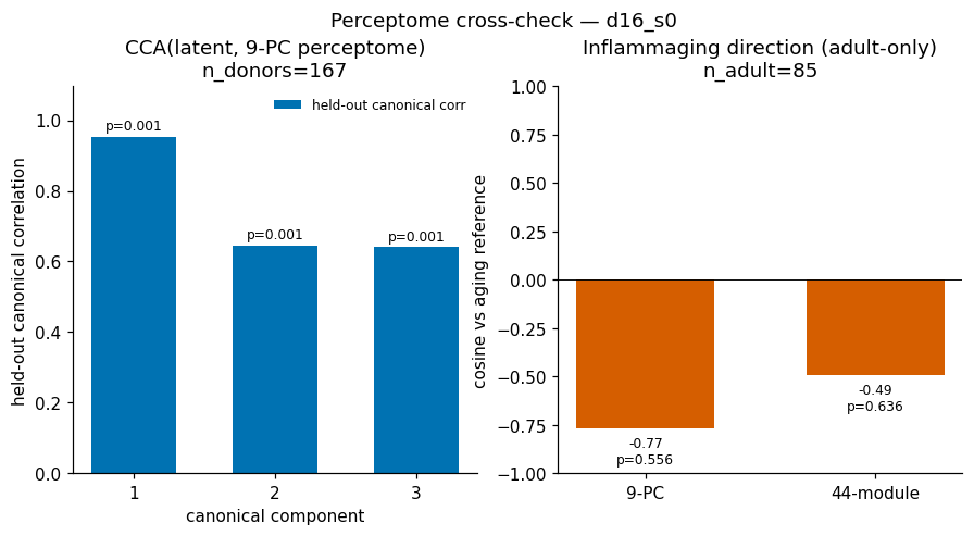 Perceptome cross-check: CCA and inflammaging alignment
